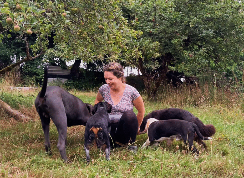 communication animale