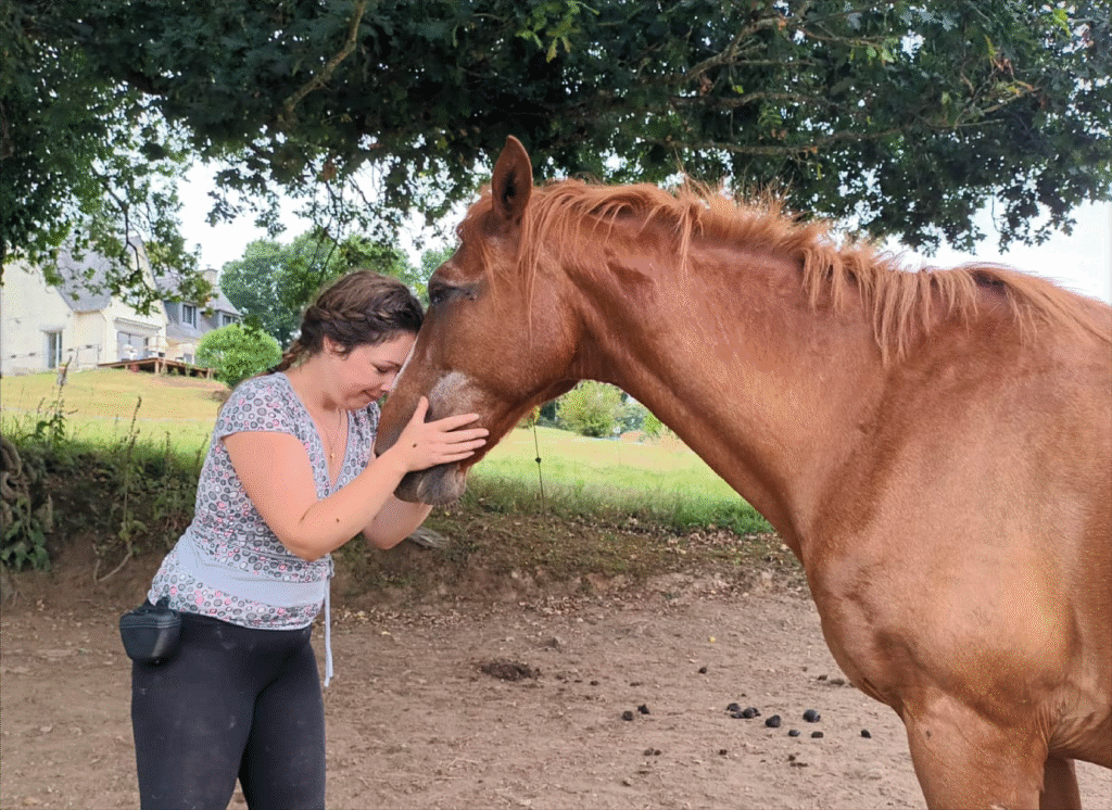 communication animale